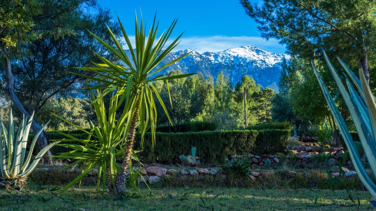 La Bergerie Auberge & Restaurant Ouirgane Bagian luar foto