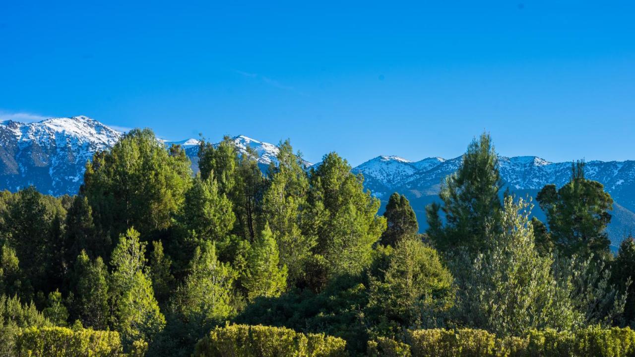 La Bergerie Auberge & Restaurant Ouirgane Bagian luar foto